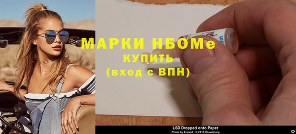 индика Снежногорск