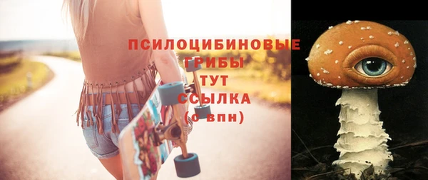 индика Снежногорск