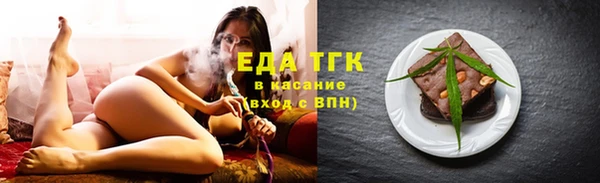 индика Снежногорск