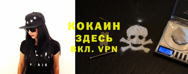 ALPHA-PVP Снежинск