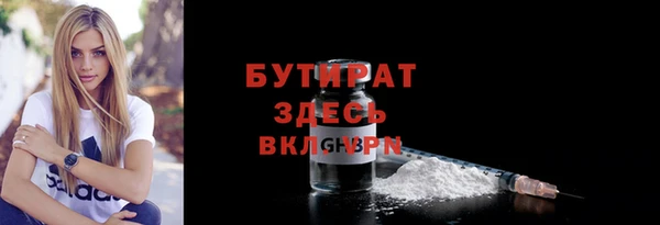 индика Снежногорск