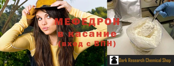 индика Снежногорск