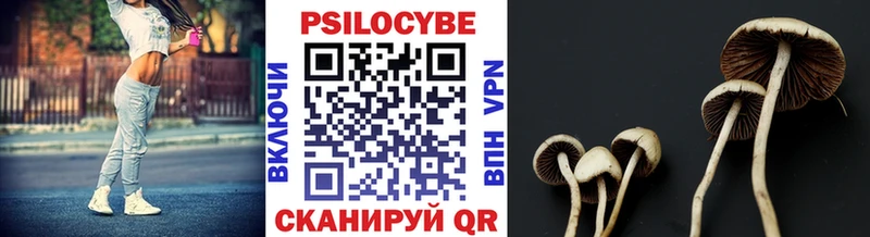 Псилоцибиновые грибы MAGIC MUSHROOMS  Кировград 